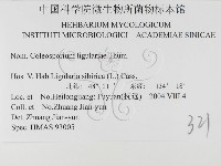 登錄號:F0026467藏品圖，第3張