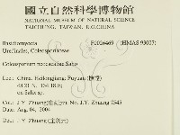 登錄號:F0026469藏品圖，第2張