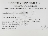 登錄號:F0026469藏品圖，第3張