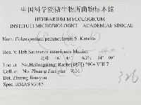 登錄號:F0026471藏品圖，第3張