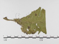 登錄號:F0026471藏品圖，第4張