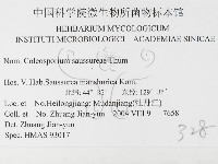 登錄號:F0026473藏品圖，第3張