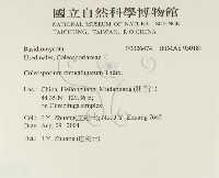 登錄號:F0026474藏品圖，第2張