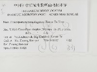 登錄號:F0026475藏品圖，第3張