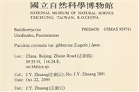 登錄號:F0026476藏品圖，第2張