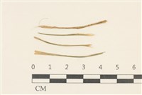 登錄號:F0026476藏品圖，第1張