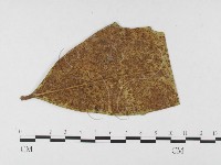 登錄號:F0026477藏品圖，第4張