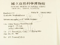 登錄號:F0026478藏品圖，第2張