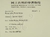 登錄號:F0026479藏品圖，第2張