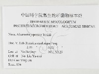 登錄號:F0026479藏品圖，第3張