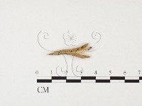 登錄號:F0026479藏品圖，第1張