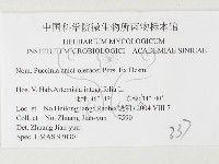 登錄號:F0026481藏品圖，第3張