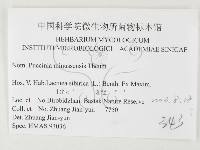 登錄號:F0026483藏品圖，第3張