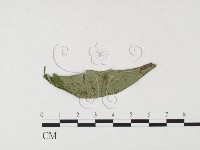 登錄號:F0026483藏品圖，第1張