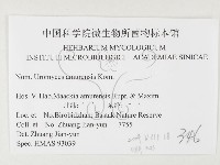 登錄號:F0026484藏品圖，第3張