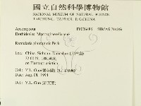 登錄號:F0026486藏品圖，第2張