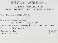 登錄號:F0026486藏品圖，第3張