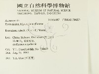 登錄號:F0026487藏品圖，第2張