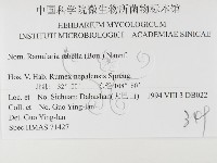 登錄號:F0026487藏品圖，第3張