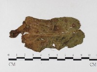 登錄號:F0026487藏品圖，第4張