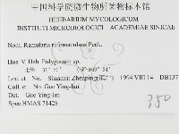 登錄號:F0026488藏品圖，第3張