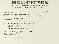 登錄號:F0026489藏品圖，第2張