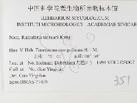 登錄號:F0026489藏品圖，第3張