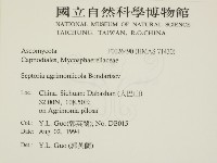 登錄號:F0026490藏品圖，第2張