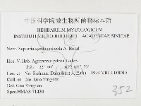 登錄號:F0026490藏品圖，第3張