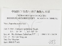 登錄號:F0026491藏品圖，第3張