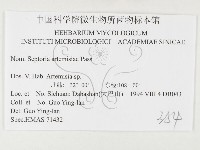 登錄號:F0026492藏品圖，第3張