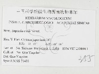 登錄號:F0026493藏品圖，第3張