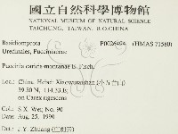 登錄號:F0026494藏品圖，第2張