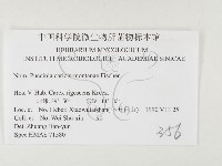 登錄號:F0026494藏品圖，第3張