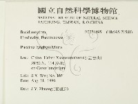 登錄號:F0026495藏品圖，第2張