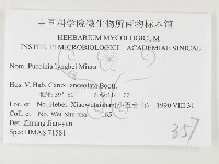 登錄號:F0026495藏品圖，第3張