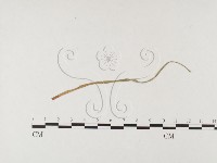 登錄號:F0026495藏品圖，第4張