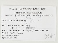 登錄號:F0026496藏品圖，第3張