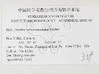 登錄號:F0026497藏品圖，第3張