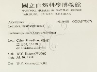 登錄號:F0026498藏品圖，第2張
