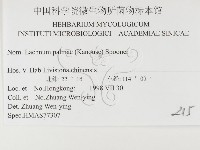 登錄號:F0026498藏品圖，第3張
