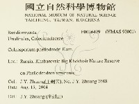 登錄號:F0026499藏品圖，第2張