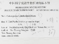 登錄號:F0026499藏品圖，第3張