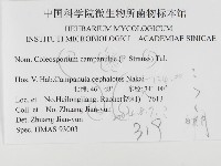 登錄號:F0026500藏品圖，第3張
