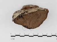 登錄號:F0026505藏品圖，第4張