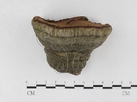 登錄號:F0026506藏品圖，第4張
