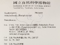 筍殼菌屬藏品圖，第2張