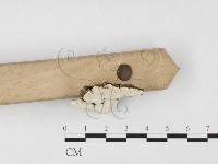 登錄號:F0026509藏品圖，第3張