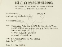 登錄號:F0026510藏品圖，第2張