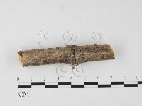 登錄號:F0026510藏品圖，第3張